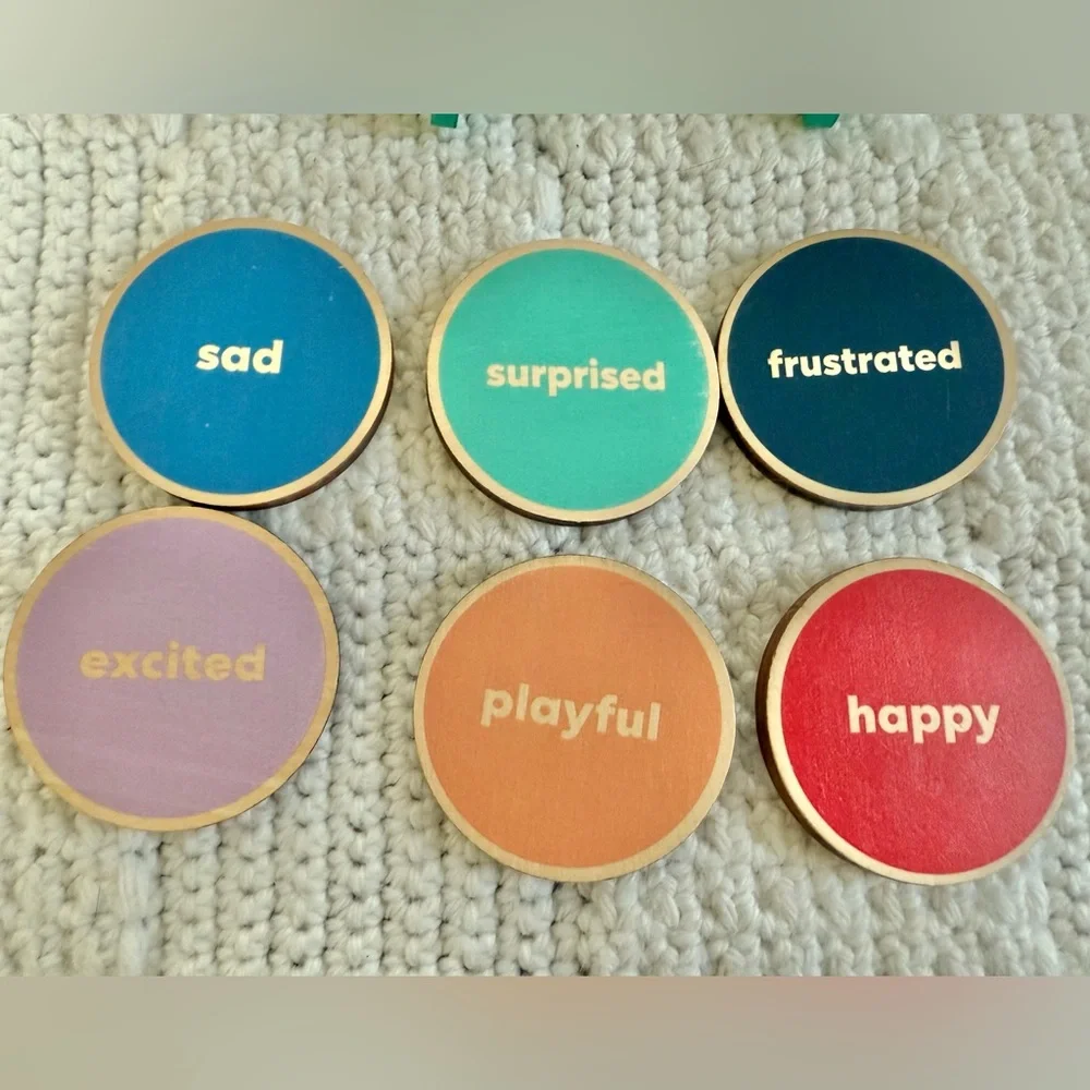 Kiwi Co Panda Crate Emotions Faces Game Wooden Pucks Montessori Learning Tool